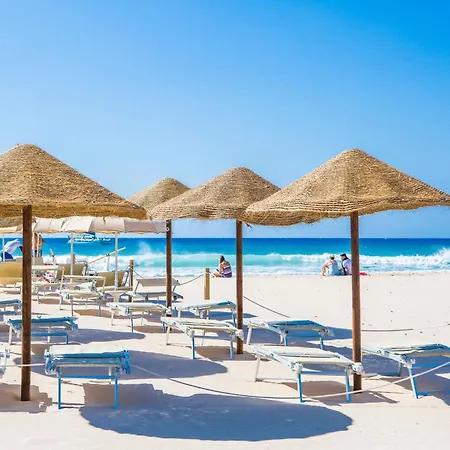 Willa Fiori 1 Is Molas